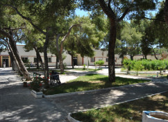Ιδρυμα Κολυμπίων