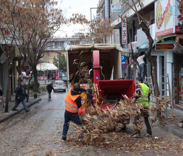 Κλάδεμα δέντρων