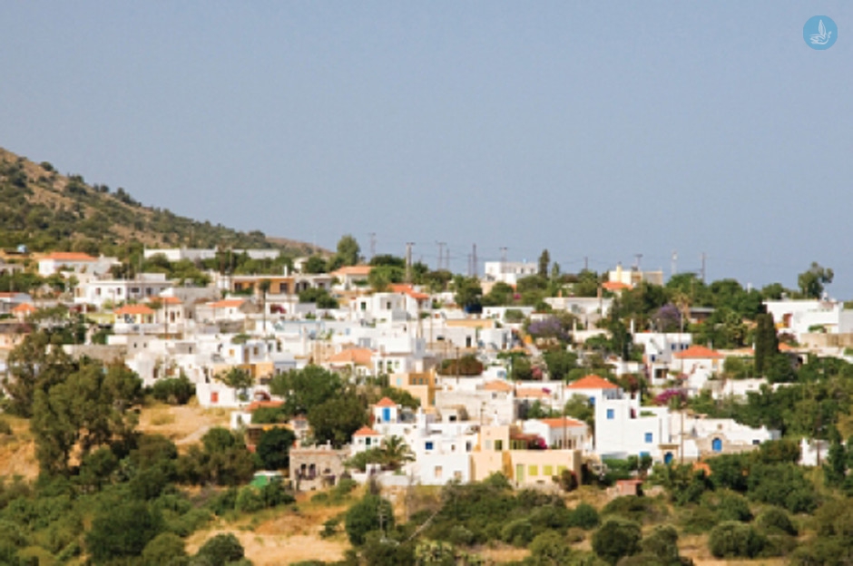 Λαχανιά