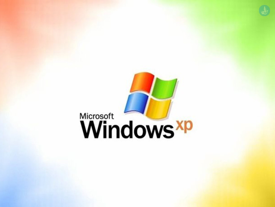 windows xp