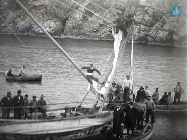σγουγγαράδες