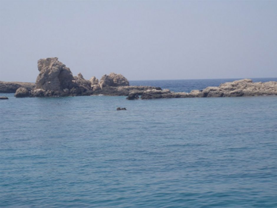 βραχονησίδα