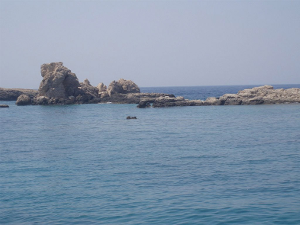 βραχονησίδα