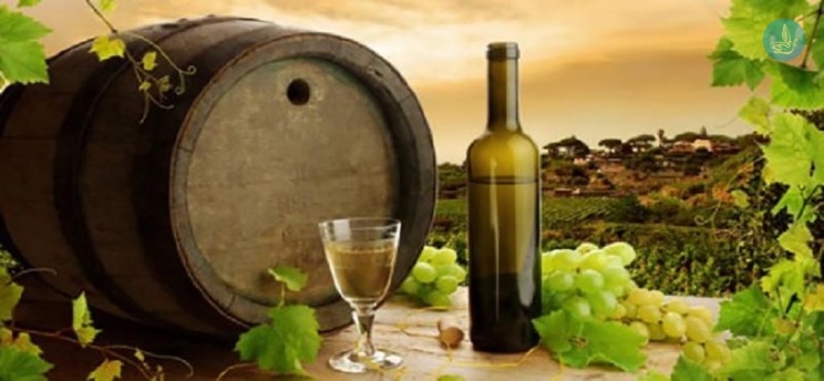 ÎÏοÏÎλεÏμα εικÏÎ½Î±Ï Î³Î¹Î± Î Îλλάδα ÏÏÎ¹Ï ÎºÎ¿ÏÏ
ÏÎ±Î¯ÎµÏ ÏÏÏÎµÏ Î³Î¹Î± οινοÏοÏ
ÏιÏÎ¼Ï ÏÏον κÏÏμο