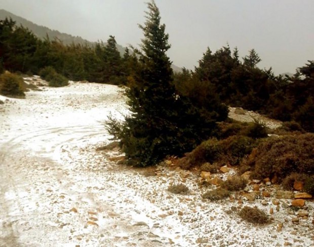 χιόνι