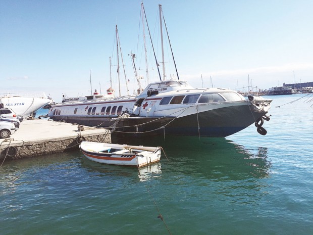 ΔΕΛΦΙΝΙ ΖΩΗΣ ΚΑΙ ΕΛΠΙΔΑΣ