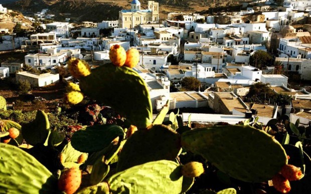 νησί