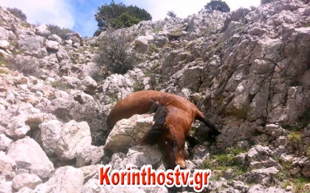 δημοσίευμα