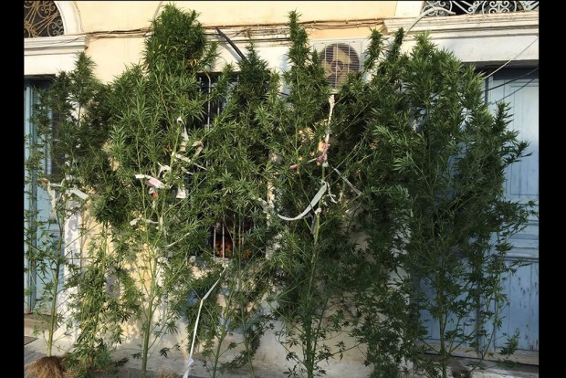 ναρκωτικά Κάλυμνος