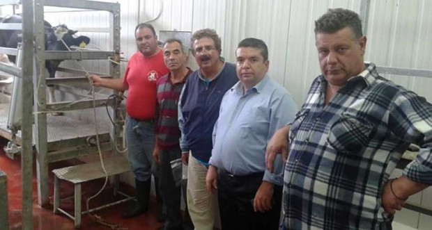 Θρησκευτική τελετή σφαγής  για τον εορτασμό του «Κουρμπάν Μπαϊράμι» στα σφαγεία της Περιφέρειας