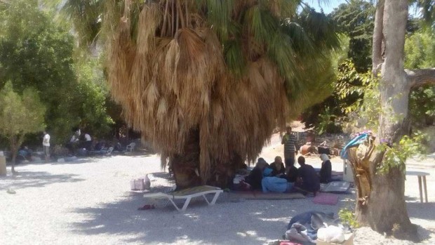 μετανάστες Τήλος
