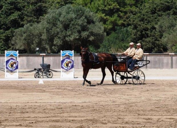 ΙΠΠΑΣΙΑ ΑΜΑΞΟΔΗΓΗΣΗ