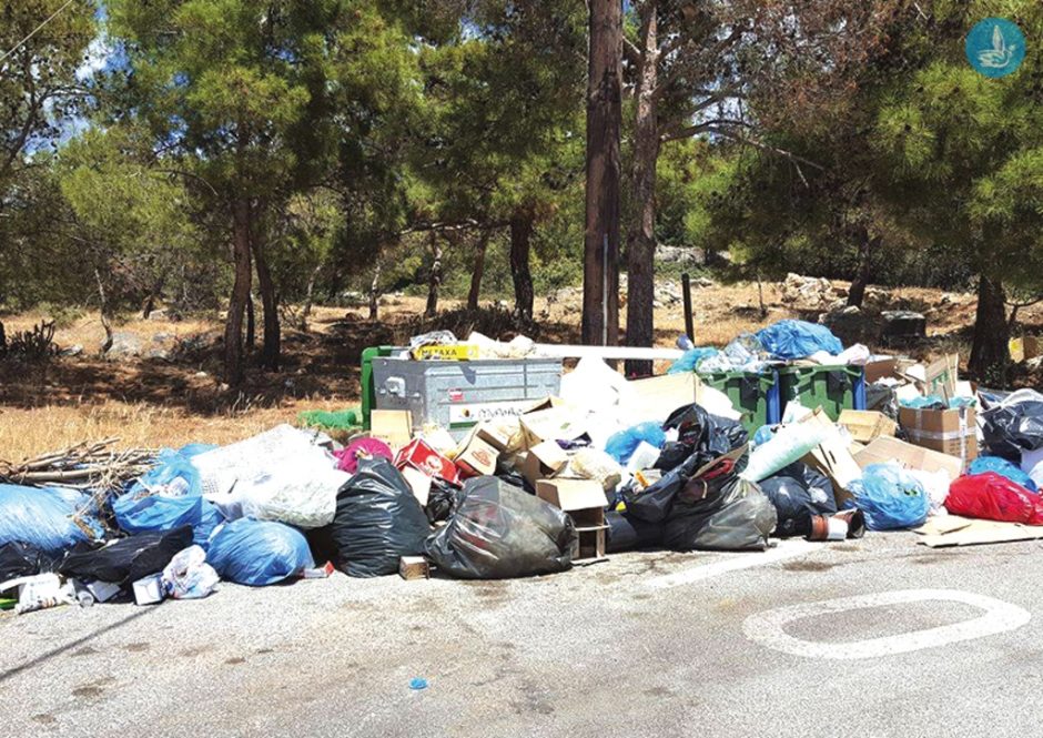 ΣΚΟΥΠΙΔΙΑ