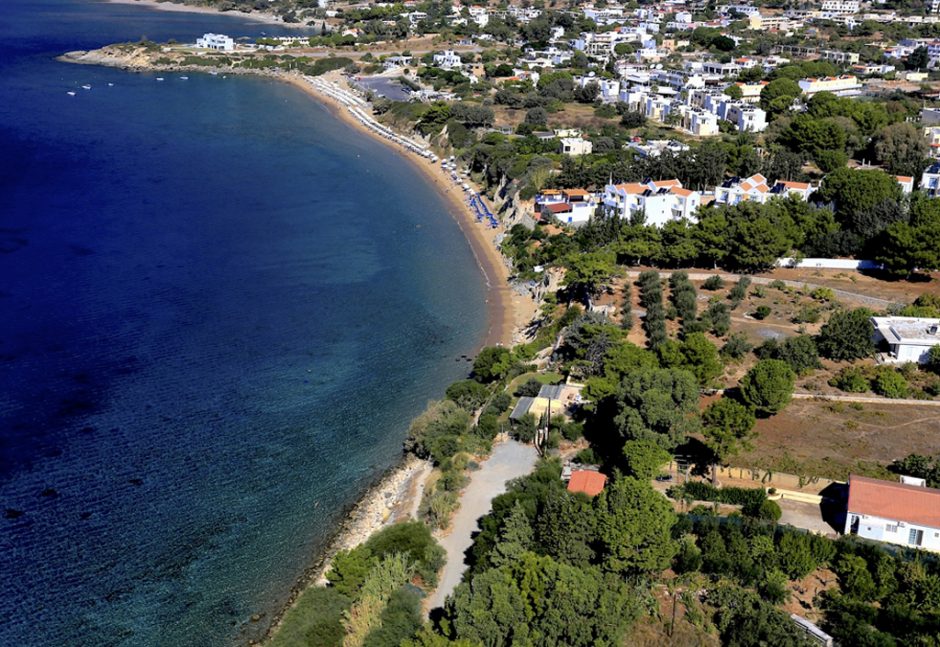 ΠΕΥΚΟΙ