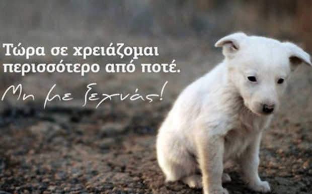 σκύλος