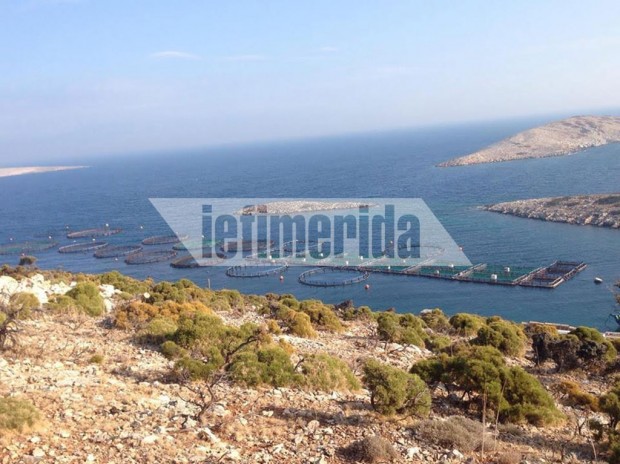 Αγαθονήσι: Κραυγή αγωνίας για τις ιχθυοκαλλιέργειες