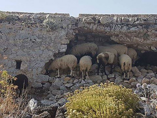 Τα ωραία Κάστρα…