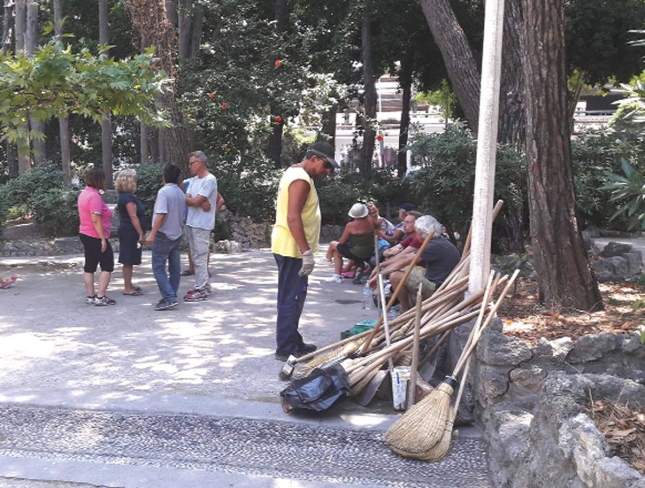 ΚΑΘΑΡΙΣΜΟΣ ΡΟΔΙΝΙ