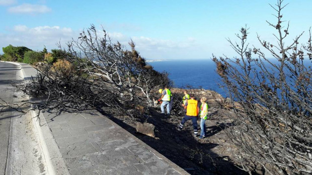 Μόντε Σμιθ