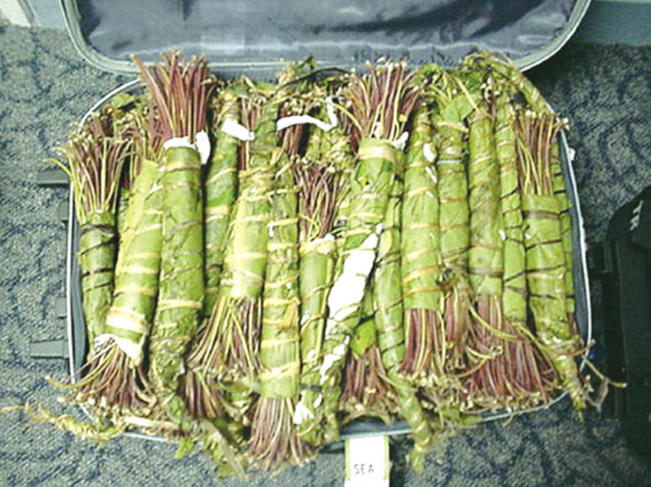 KHAT