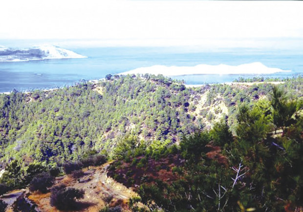 Αμαρτος Κρητηνία