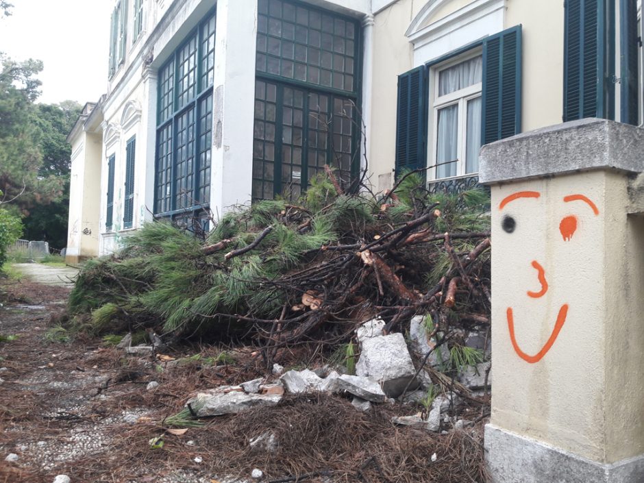 ΚΑΚΟΚΑΙΡΙΑ ΡΟΔΙΑΚΗ ΕΠΑΥΛΗ