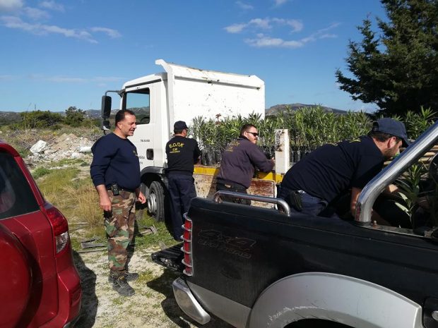 δενδροφύτευση Γεννάδι