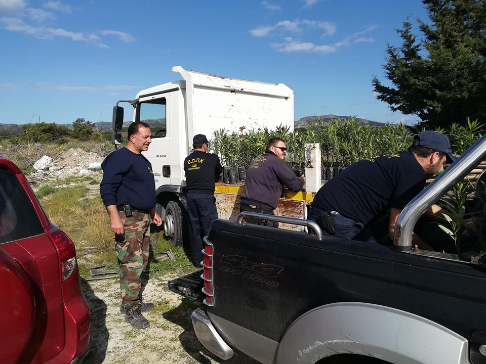 δενδροφύτευση Γεννάδι