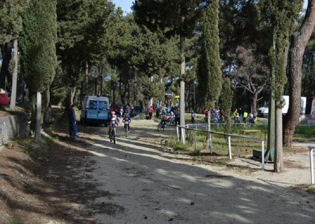 ΠΟΔΗΛΑΣΙΑ ΕΛΑΦΟΣ