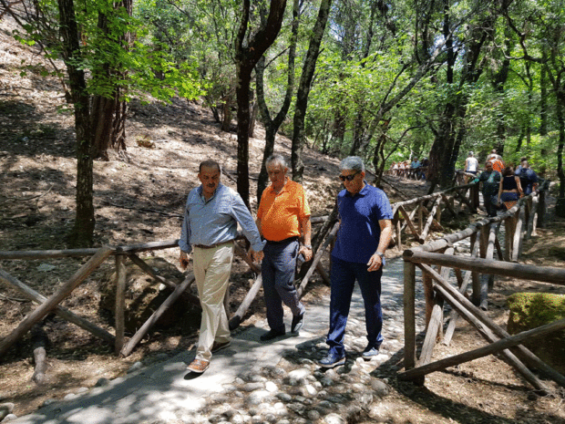 Χατζηδιακος Πεταλούδες