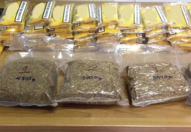 NAPKΩTIKA ΛEPOΣ