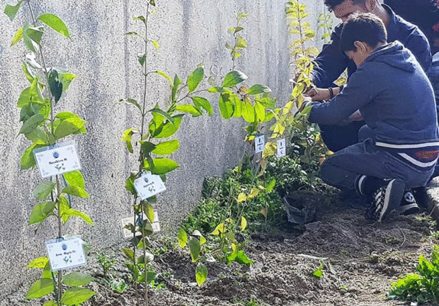 Έλληνες και προσφυγόπουλα δενδροφύτευσαν τον προαύλιο χώρο τους