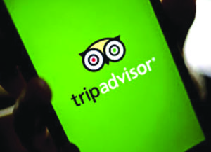 tripadvisor
