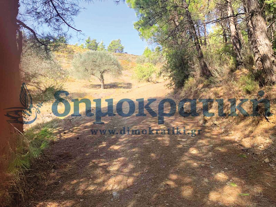 δολοφονια