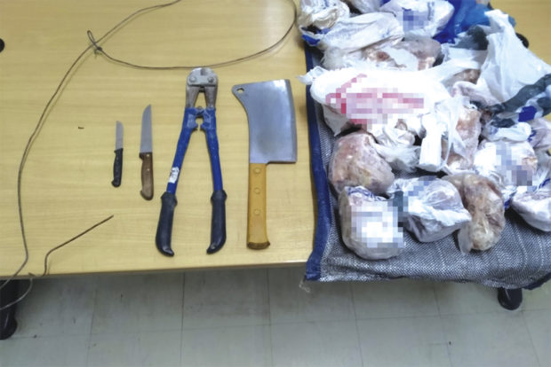 Ελεύθεροι με περιοριστικούς όρους οι τρεις κατηγορούμενοι για ζωοκλοπή και ζωοκτονία