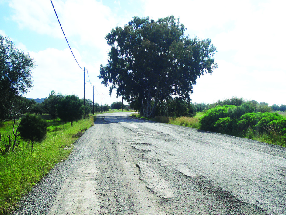DSC00019