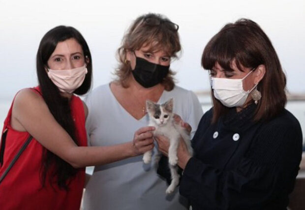 Η ΠτΔ με την Animal Welfare Karpathos : “Τα ζώα είναι συναισθανόμενα όντα που αξίζουν προστασία και σεβασμό”