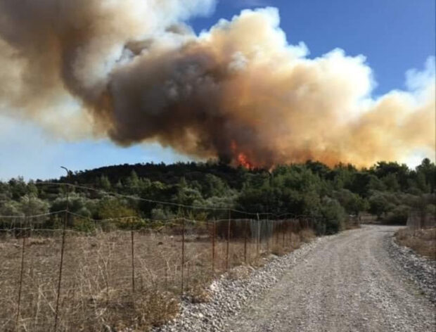 Επικίνδυνη πυρκαγιά σε δασική έκταση κοντά στο Ασκληπιείο
