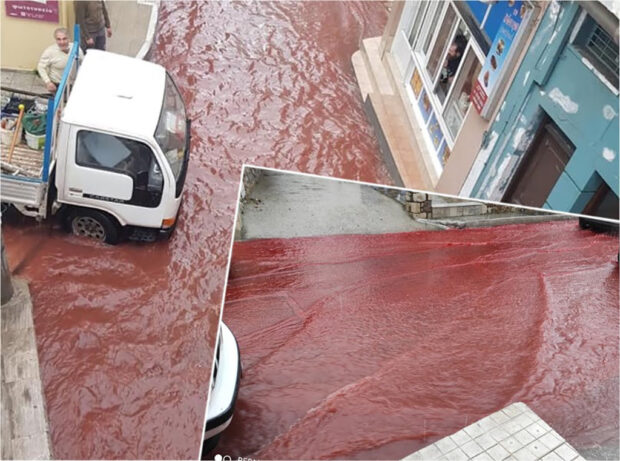 κόκκινο ποτάμι