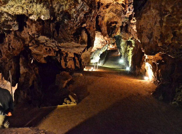 Δρυοπίδα Κύθνου