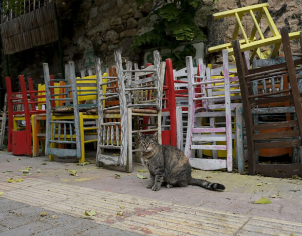 κατάστηνα εστίαση