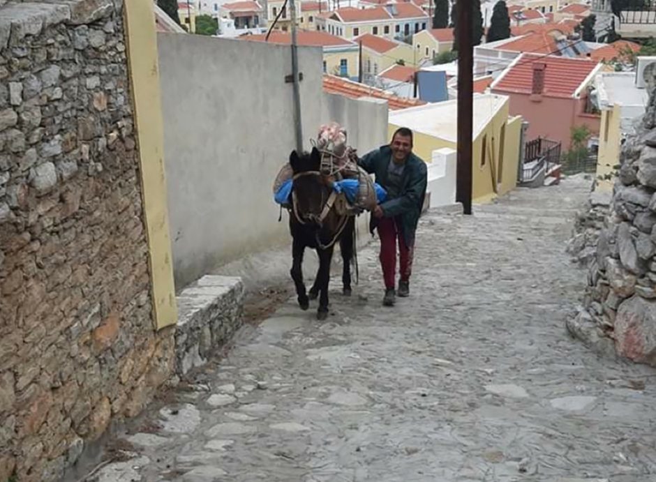 γαϊδουρακι συμη