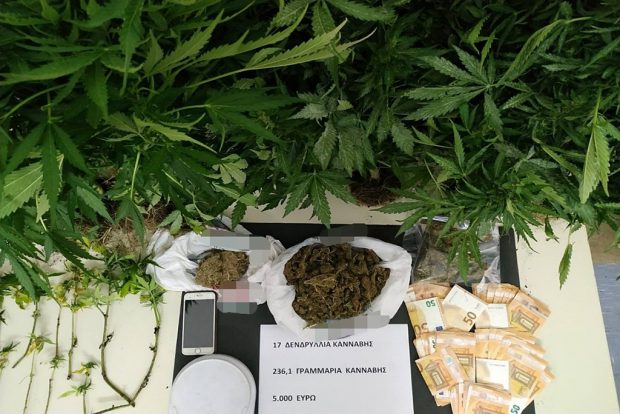 κάνναβη Ρόδος 8/6
