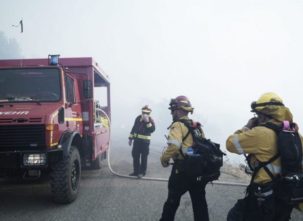 Μονάδα Δασικών Επιχειρήσεων