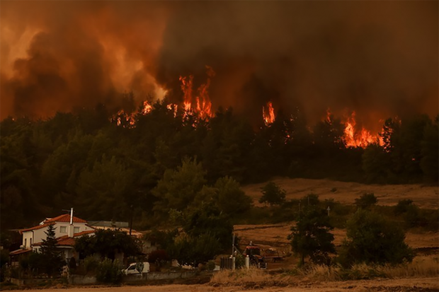 Η Α΄ Κυνηγετική Ομοσπονδία Κρήτης Δωδεκανήσου στο πλευρό των πυρόπληκτων