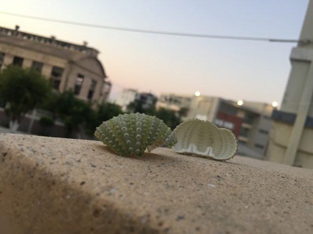 731
