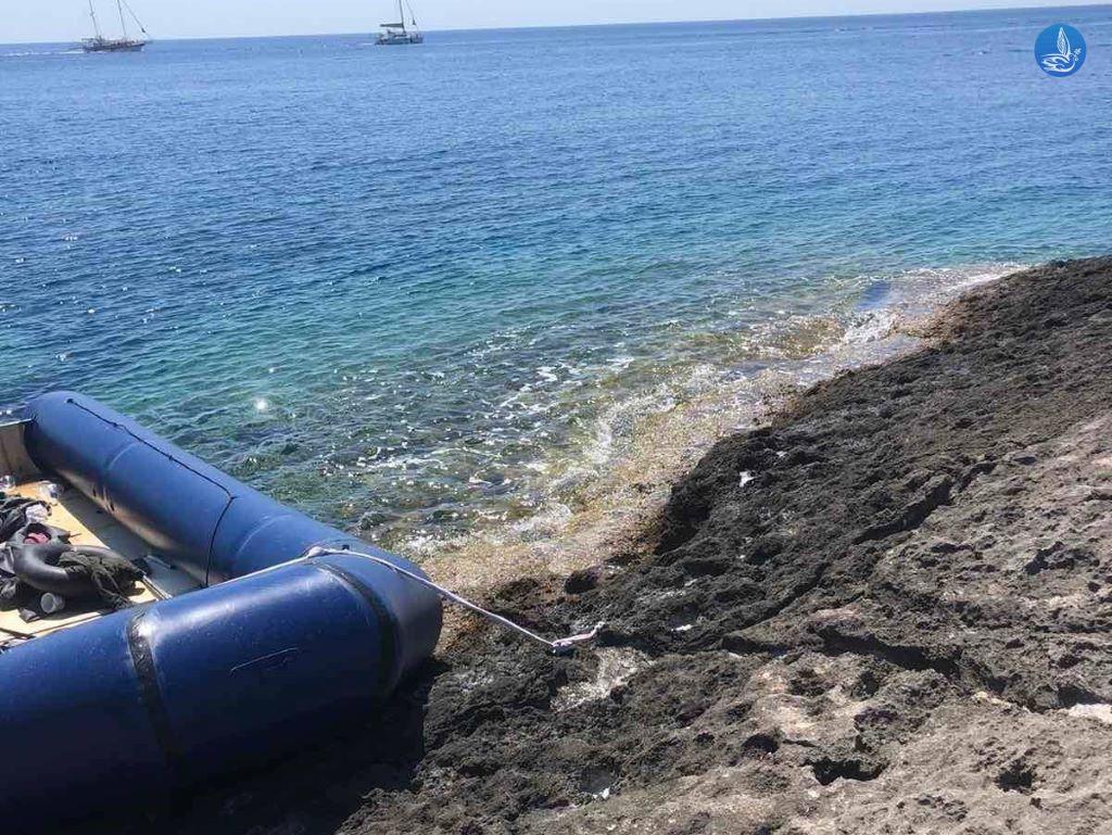 ΜΕΤΑΝΑΣΤΕΣ ΚΑΛΛΙΘΕΑ