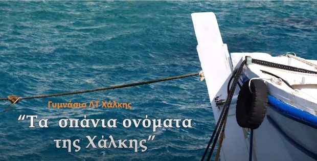 ΤΑΙΝΊΑ ΓΥΜΝΑΣΙΟ ΧΑΛΚΗΣ