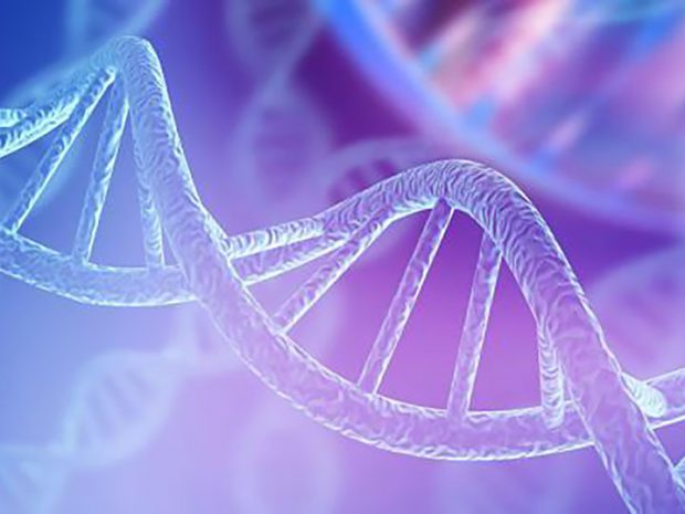 DNA