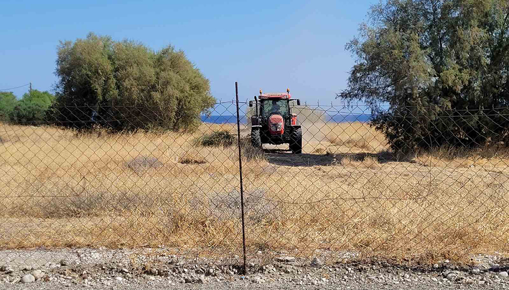 ΨΙΜΟΡΗΦΟΥ